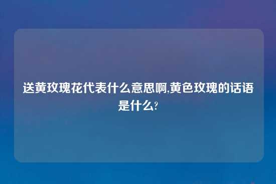 送黄玫瑰花代表什么意思啊,黄色玫瑰的话语是什么?