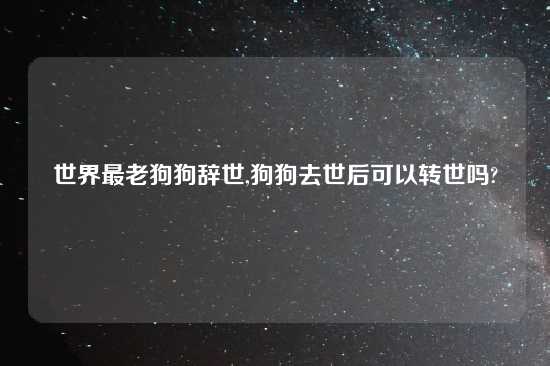 世界最老狗狗辞世,狗狗去世后可以转世吗?