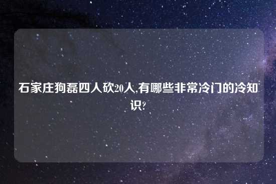 石家庄狗磊四人砍20人,有哪些非常冷门的冷知识?