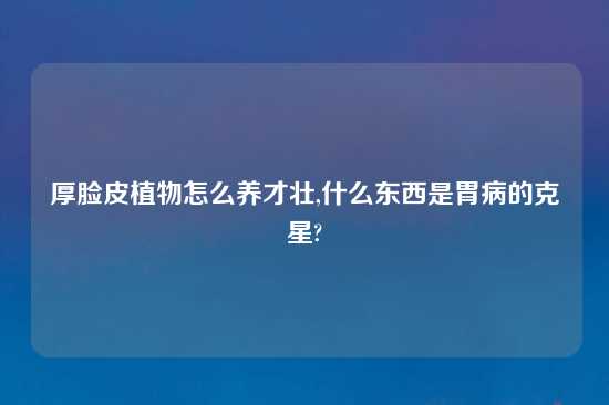 厚脸皮植物怎么养才壮,什么东西是胃病的克星?