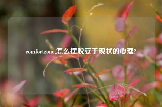 comfortzone,怎么摆脱安于现状的心理?