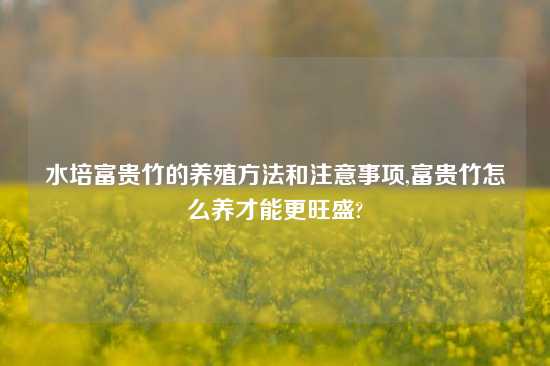 水培富贵竹的养殖方法和注意事项,富贵竹怎么养才能更旺盛?