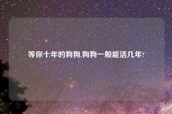 等你十年的狗狗,狗狗一般能活几年?