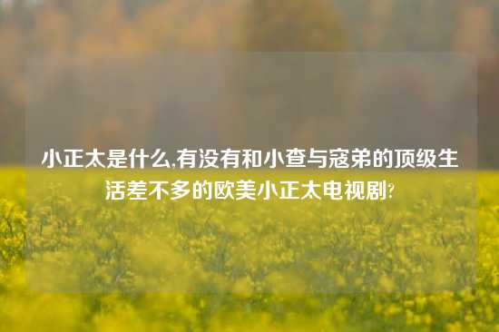 小正太是什么,有没有和小查与寇弟的顶级生活差不多的欧美小正太电视剧?