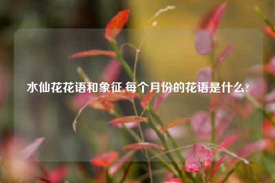 水仙花花语和象征,每个月份的花语是什么?