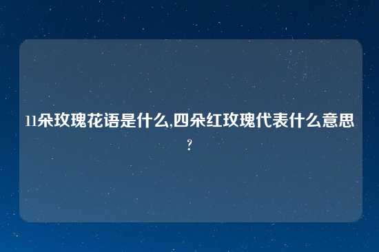 11朵玫瑰花语是什么,四朵红玫瑰代表什么意思?