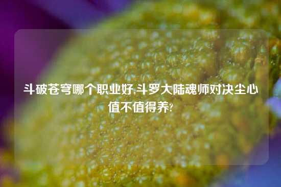 斗破苍穹哪个职业好,斗罗大陆魂师对决尘心值不值得养?