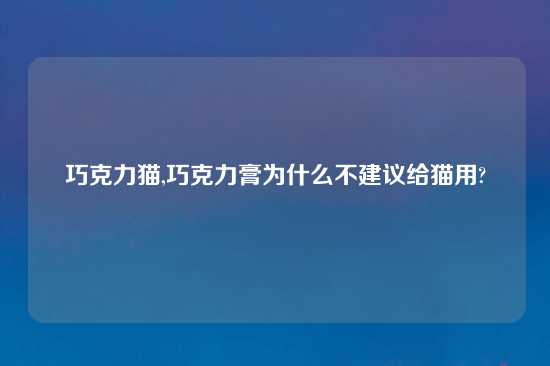 巧克力猫,巧克力膏为什么不建议给猫用?