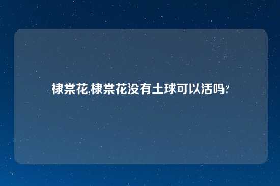 棣棠花,棣棠花没有土球可以活吗?