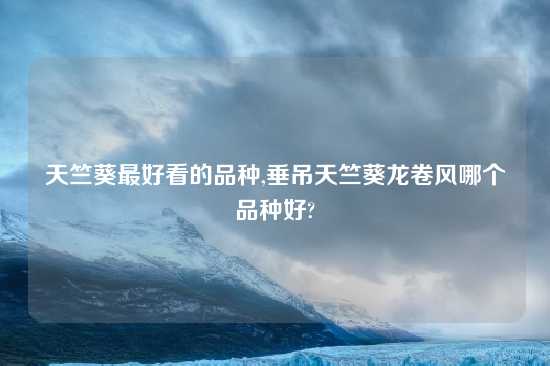 天竺葵最好看的品种,垂吊天竺葵龙卷风哪个品种好?