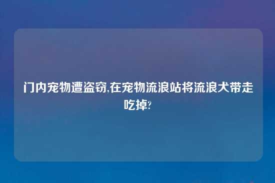 门内宠物遭盗窃,在宠物流浪站将流浪犬带走吃掉?