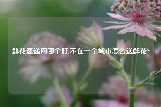 鲜花速递网哪个好,不在一个城市怎么送鲜花?