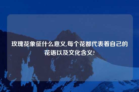 玫瑰花象征什么意义,每个花都代表着自己的花语以及文化含义?