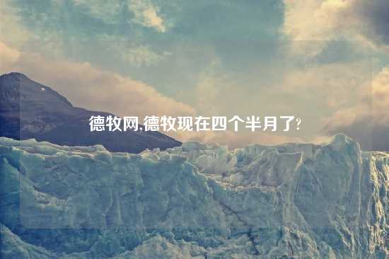 德牧网,德牧现在四个半月了?