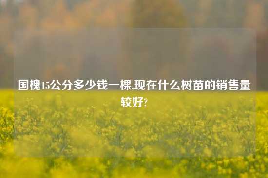 国槐15公分多少钱一棵,现在什么树苗的销售量较好?