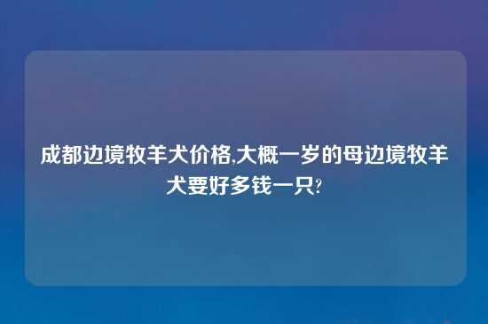 成都边境牧羊犬价格,大概一岁的母边境牧羊犬要好多钱一只?