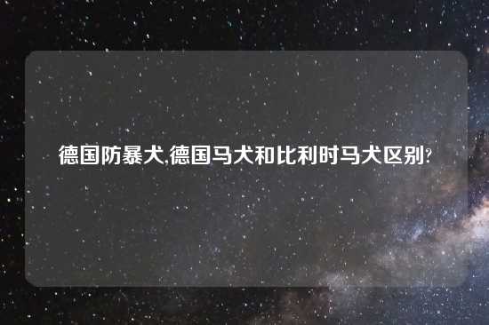 德国防暴犬,德国马犬和比利时马犬区别?