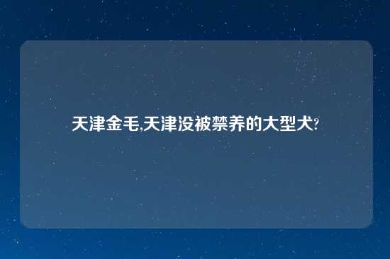 天津金毛,天津没被禁养的大型犬?