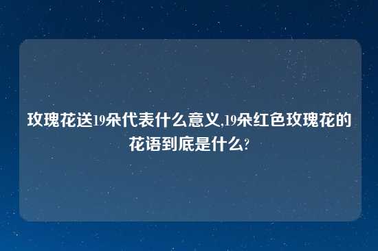 玫瑰花送19朵代表什么意义,19朵红色玫瑰花的花语到底是什么?