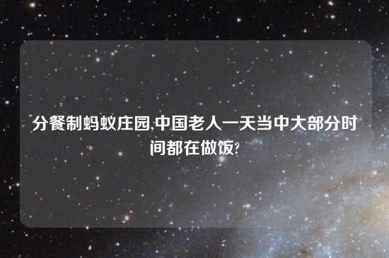 分餐制蚂蚁庄园,中国老人一天当中大部分时间都在做饭?