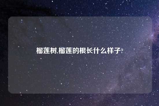 榴莲树,榴莲的根长什么样子?