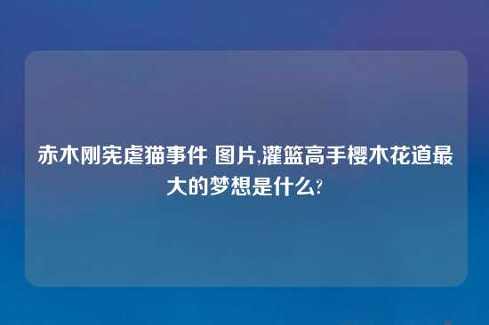 赤木刚宪虐猫事件 图片,灌篮高手樱木花道最大的梦想是什么?