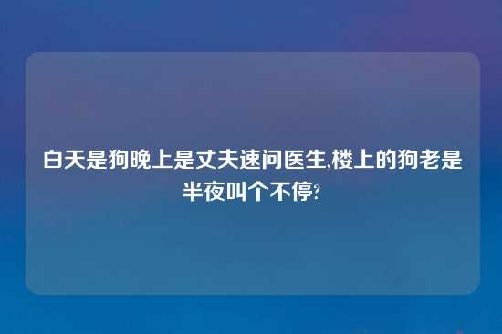 白天是狗晚上是丈夫速问医生,楼上的狗老是半夜叫个不停?