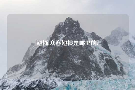 翅桶,众客翅根是哪里的?