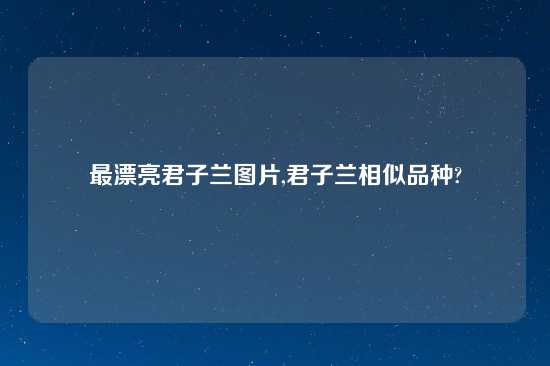 最漂亮君子兰图片,君子兰相似品种?