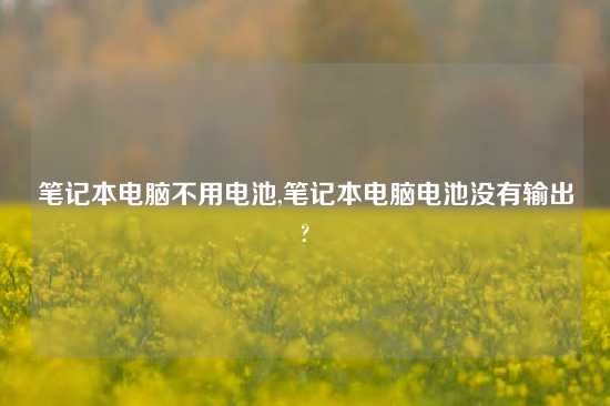 笔记本电脑不用电池,笔记本电脑电池没有输出?