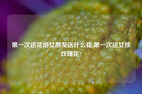 第一次送花给女朋友送什么花,第一次送女孩玫瑰花?