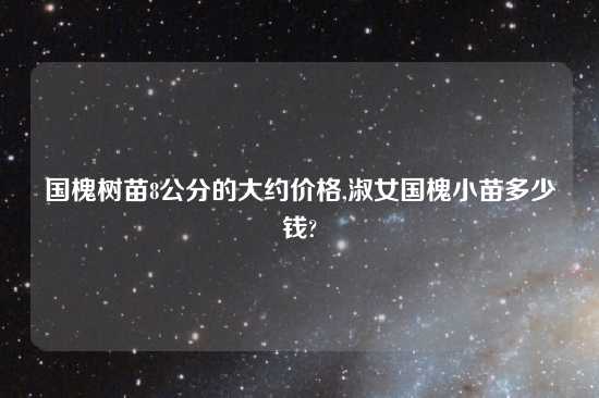 国槐树苗8公分的大约价格,淑女国槐小苗多少钱?