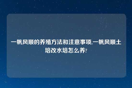 一帆风顺的养殖方法和注意事项,一帆风顺土培改水培怎么养?