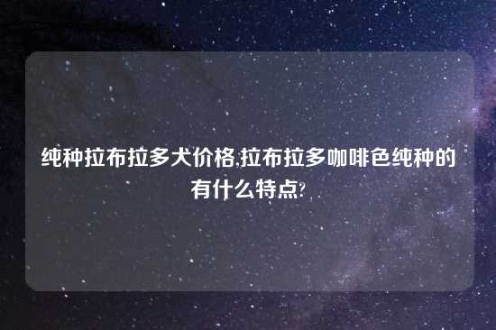 纯种拉布拉多犬价格,拉布拉多咖啡色纯种的有什么特点?