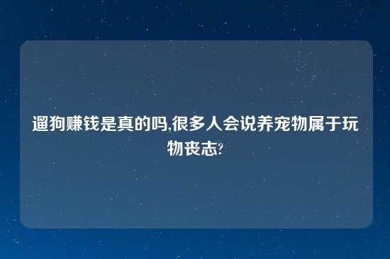 遛狗赚钱是真的吗,很多人会说养宠物属于玩物丧志?