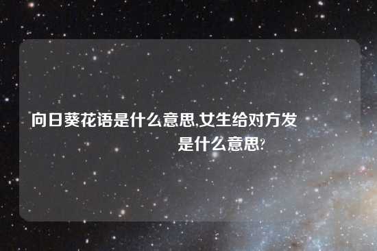 向日葵花语是什么意思,女生给对方发🌻🌻是什么意思?