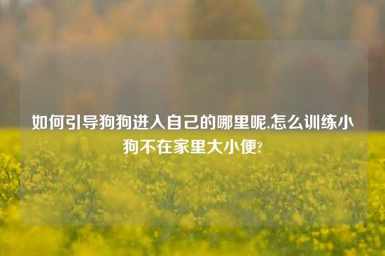 如何引导狗狗进入自己的哪里呢,怎么训练小狗不在家里大小便?