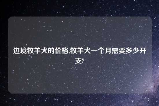 边境牧羊犬的价格,牧羊犬一个月需要多少开支?