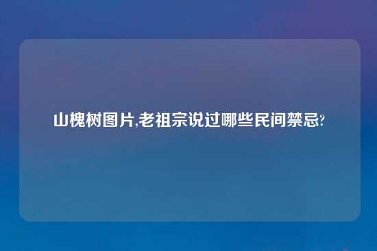 山槐树图片,老祖宗说过哪些民间禁忌?