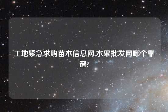 工地紧急求购苗木信息网,水果批发网哪个摆谱?