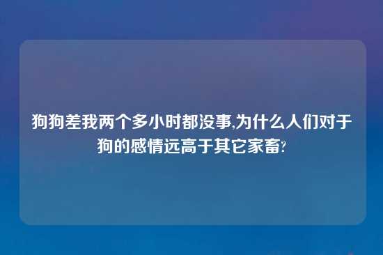 狗狗差我两个多小时都没事,为什么人们对于狗的感情远高于其它家畜?