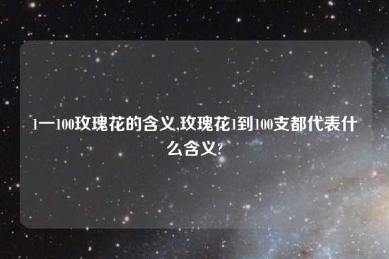 1一100玫瑰花的含义,玫瑰花1到100支都代表什么含义?