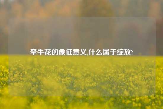 牵牛花的象征意义,什么属于绽放?