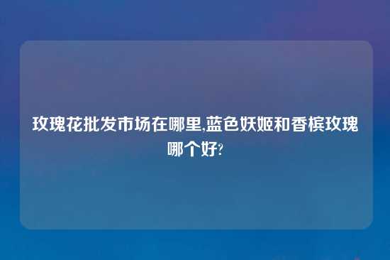 玫瑰花批发市场在哪里,蓝色妖姬和香槟玫瑰哪个好?