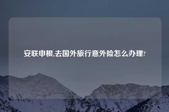 安联申根,去国外旅行意外险怎么办理?