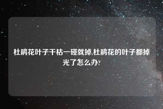 杜鹃花叶子干枯一碰就掉,杜鹃花的叶子都掉光了怎么办?