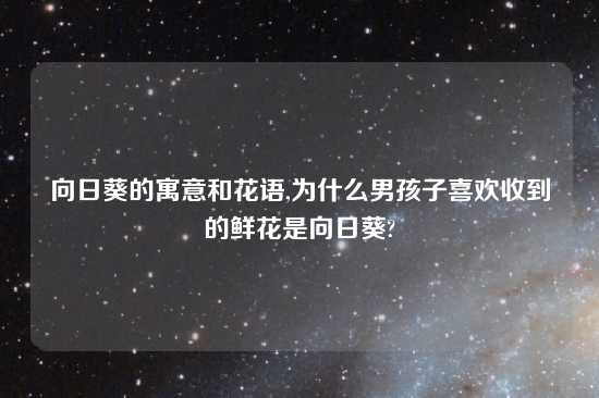 向日葵的寓意和花语,为什么男孩子喜欢收到的鲜花是向日葵?