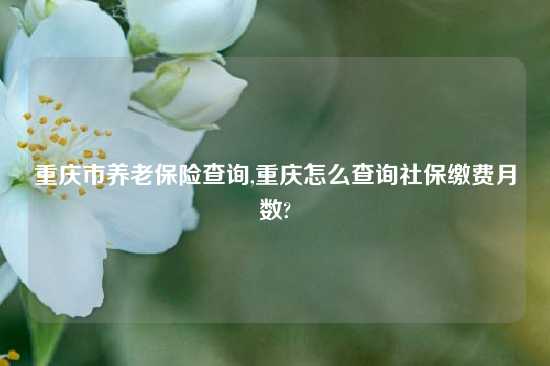 重庆市养老保险查询,重庆怎么查询社保缴费月数?
