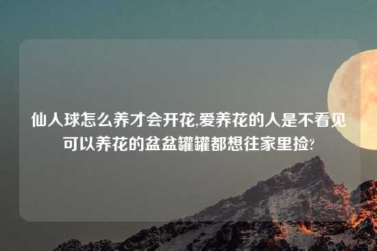 仙人球怎么养才会开花,爱养花的人是不看见可以养花的盆盆罐罐都想往家里捡?