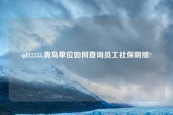 qd12333,青岛单位如何查询员工社保明细?